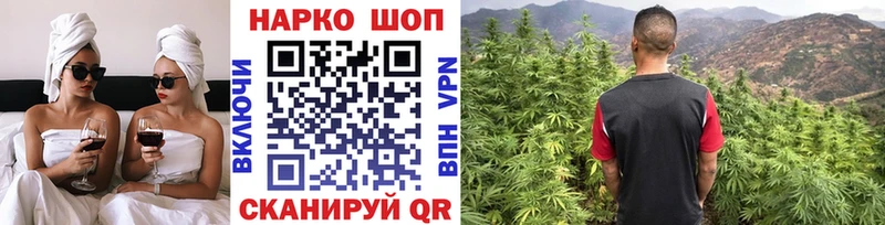 Гашиш Каргополь