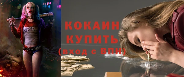 хмурый Гусев