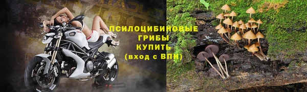 хмурый Гусев