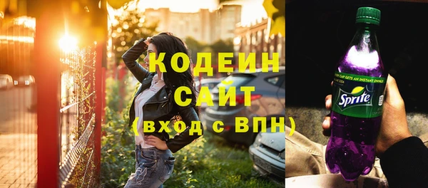хмурый Гусев