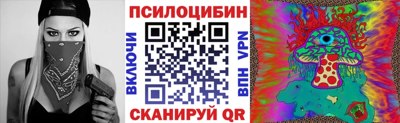 Псилоцибиновые грибы Cubensis  Купить где  Каргополь 